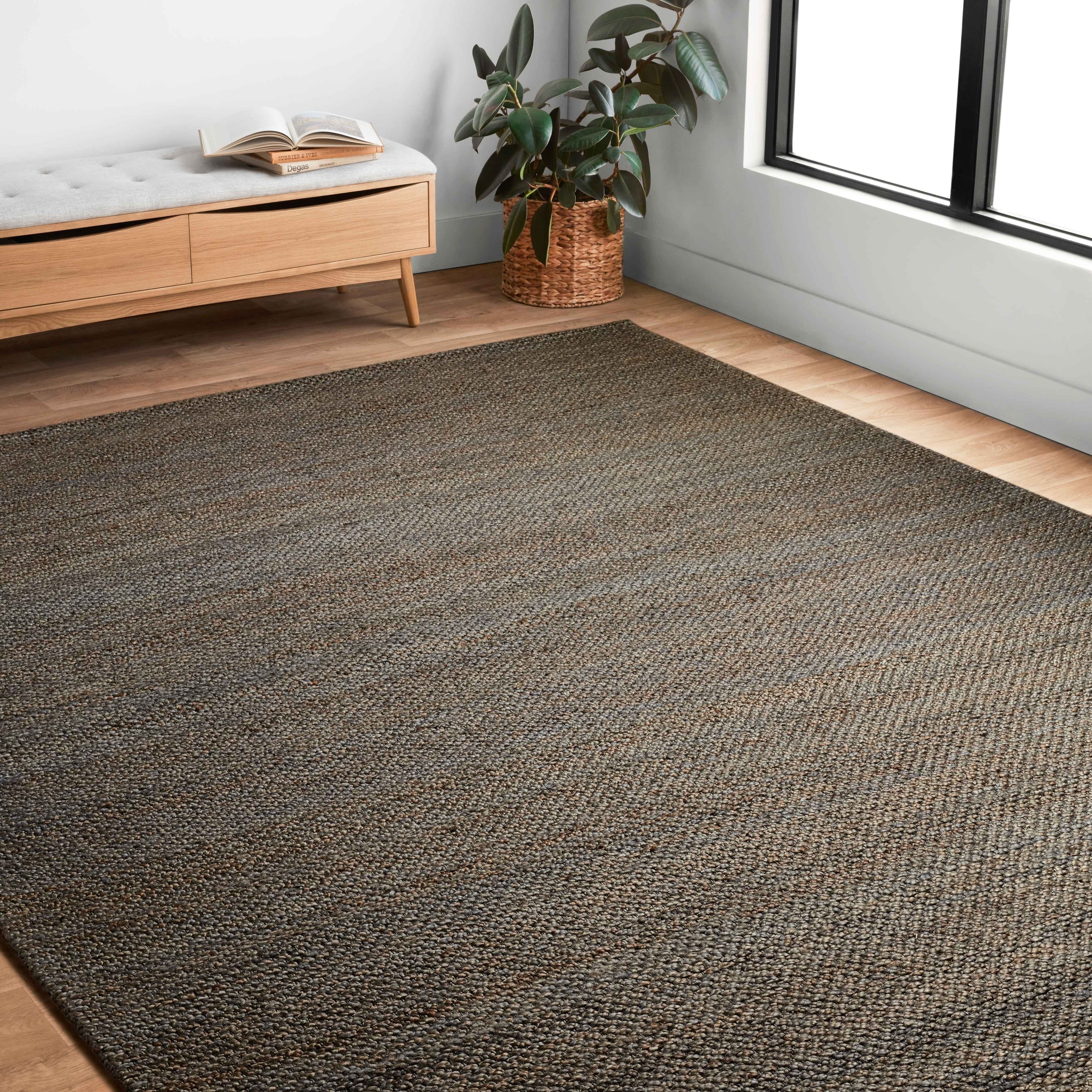 Tapis en jute tissé à la main Emily de style ferme moderne d'Alexander Home