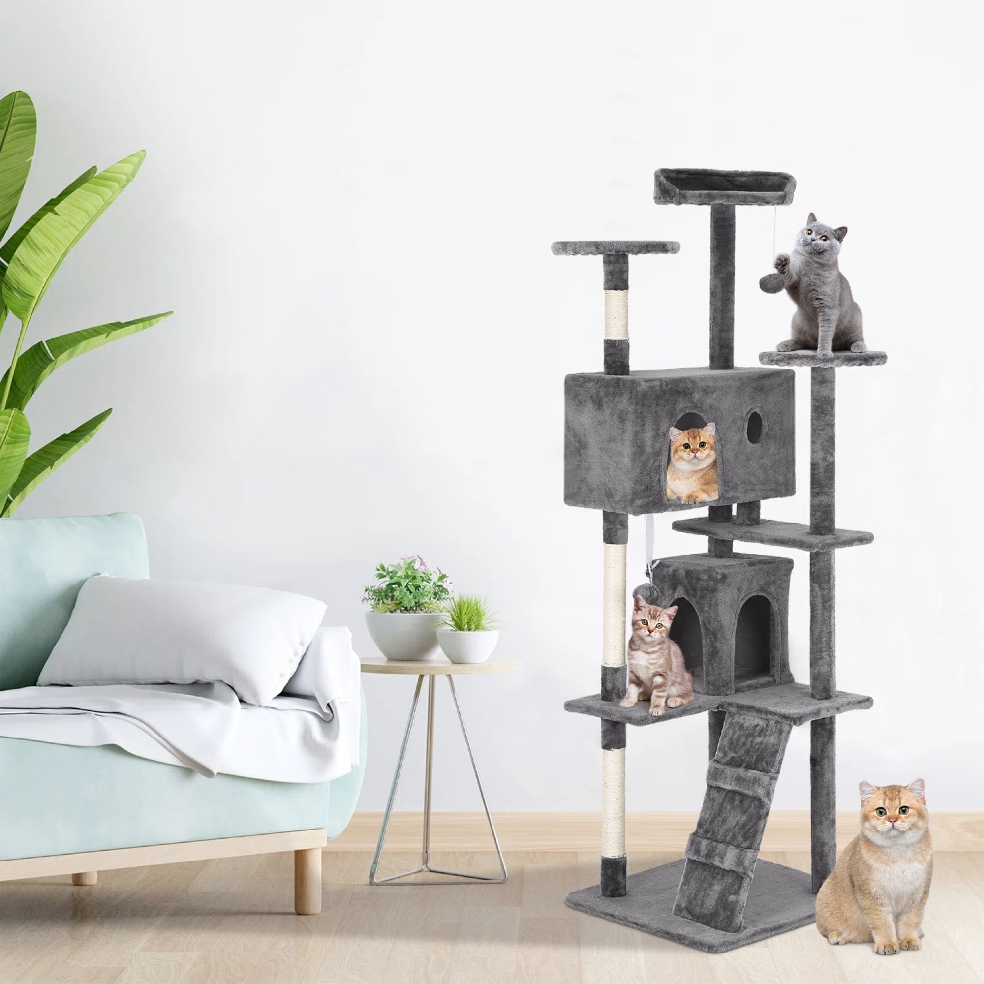 Arbre à chat Furniture of America, tour à chat à plusieurs niveaux avec échelle, plateformes et condos