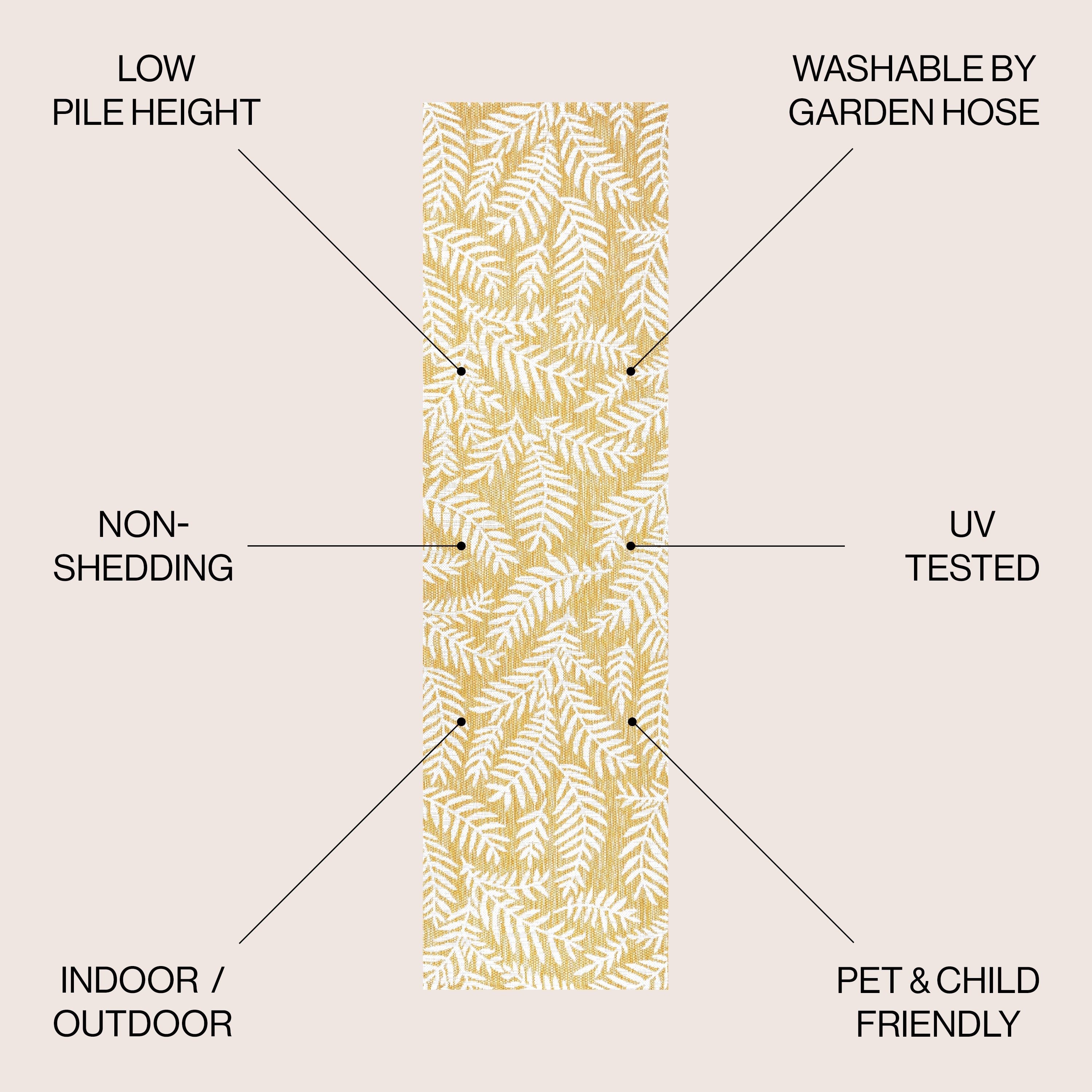 JONATHAN Y Tapis intérieur/extérieur à fronde de palmier Galon