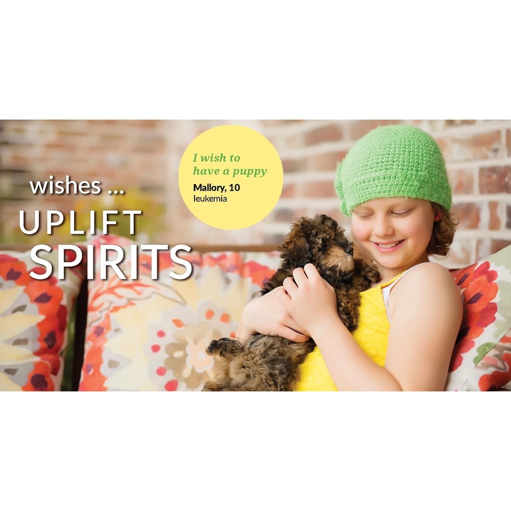 Ensemble de courtepointe réversible à imprimé cactus lama du sud-ouest de Lush Decor