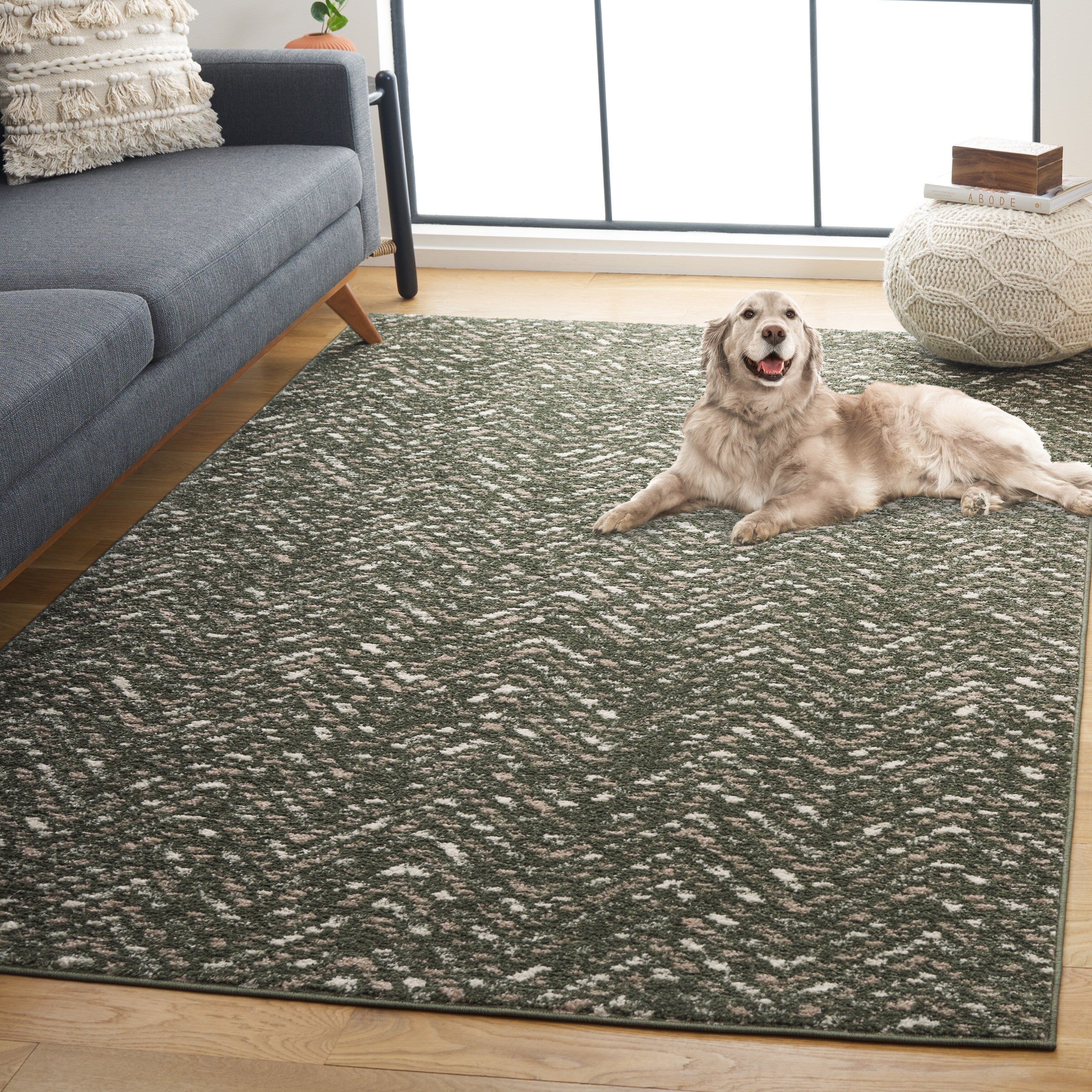 Tapis Adirondack Hildegard Chevron vieilli SAFAVIEH