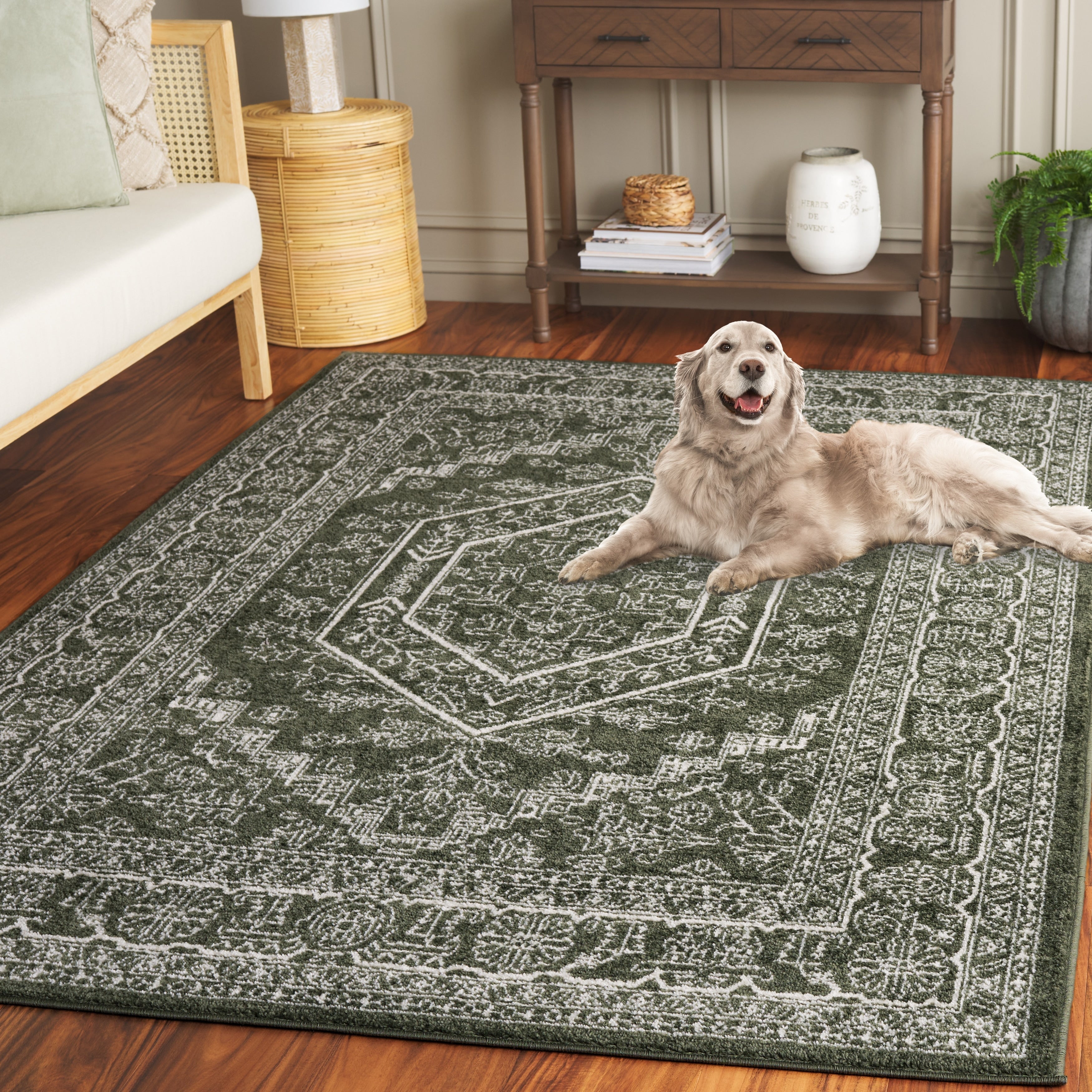 Tapis médaillon oriental rustique Adirondack Sian de SAFAVIEH