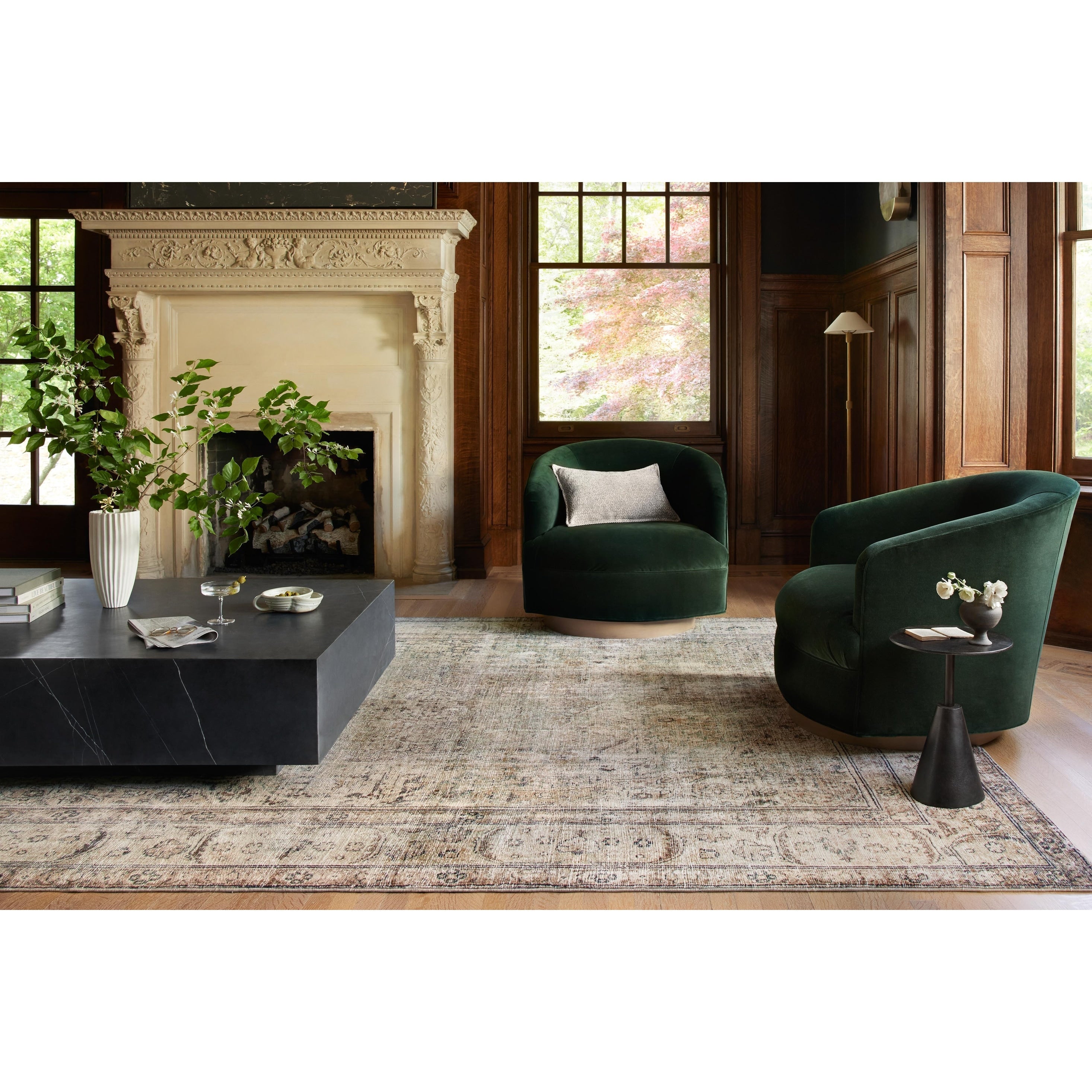 Tapis ultra moelleux Sara Antique d'Alexander Home