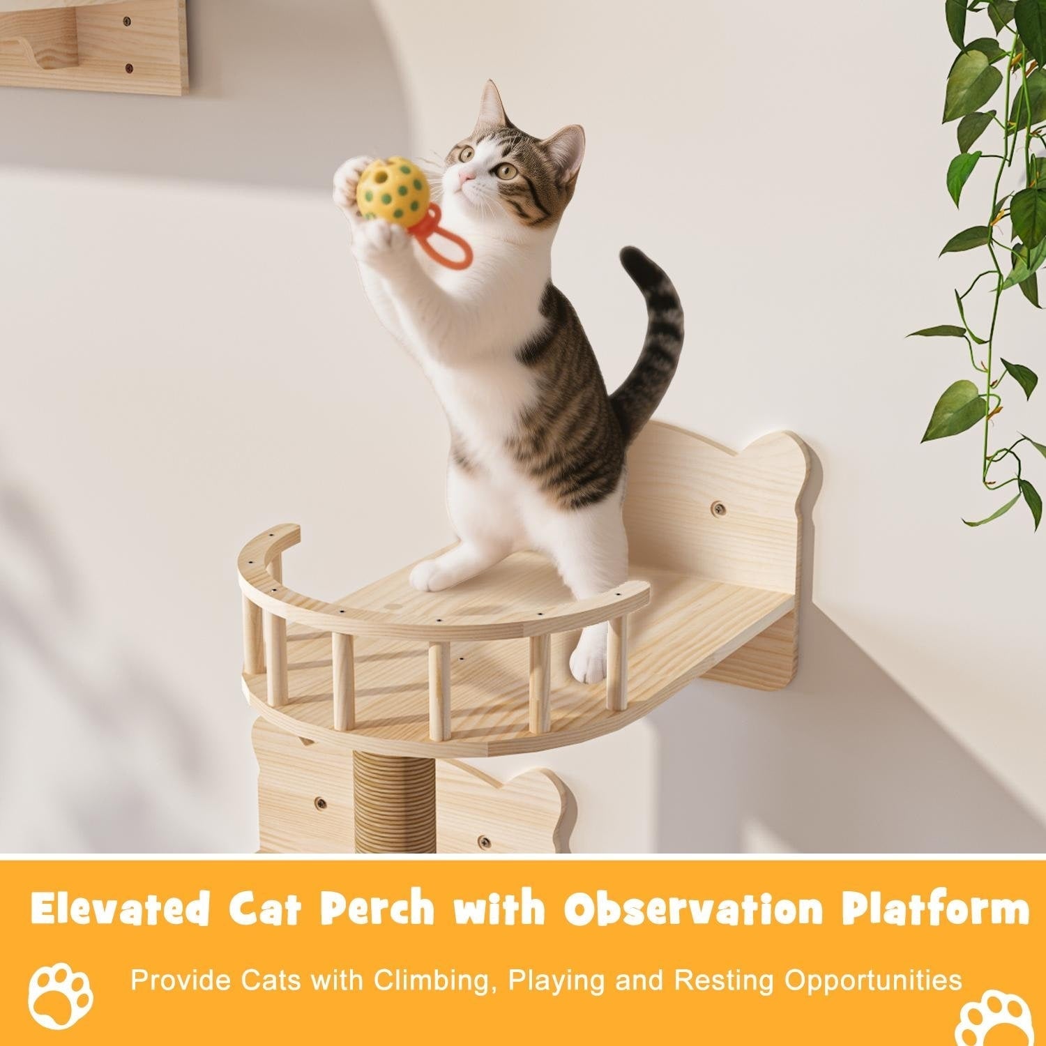 Système d'escalade mural pour chat en pin BOSSIN 9/16/18 pièces - Ensemble d'étagères murales avec lit pour chat, griffoir et tunnel