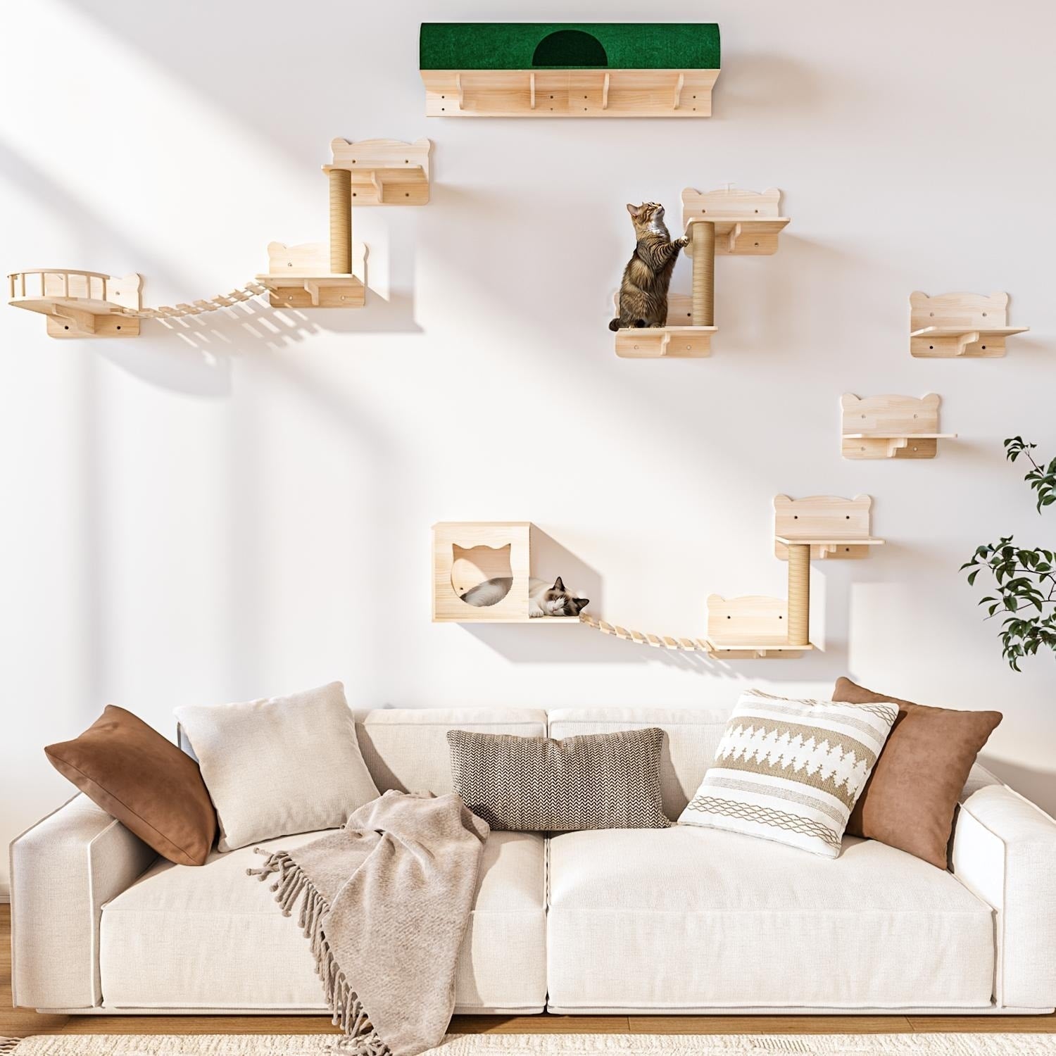 Système d'escalade mural pour chat en pin BOSSIN 9/16/18 pièces - Ensemble d'étagères murales avec lit pour chat, griffoir et tunnel