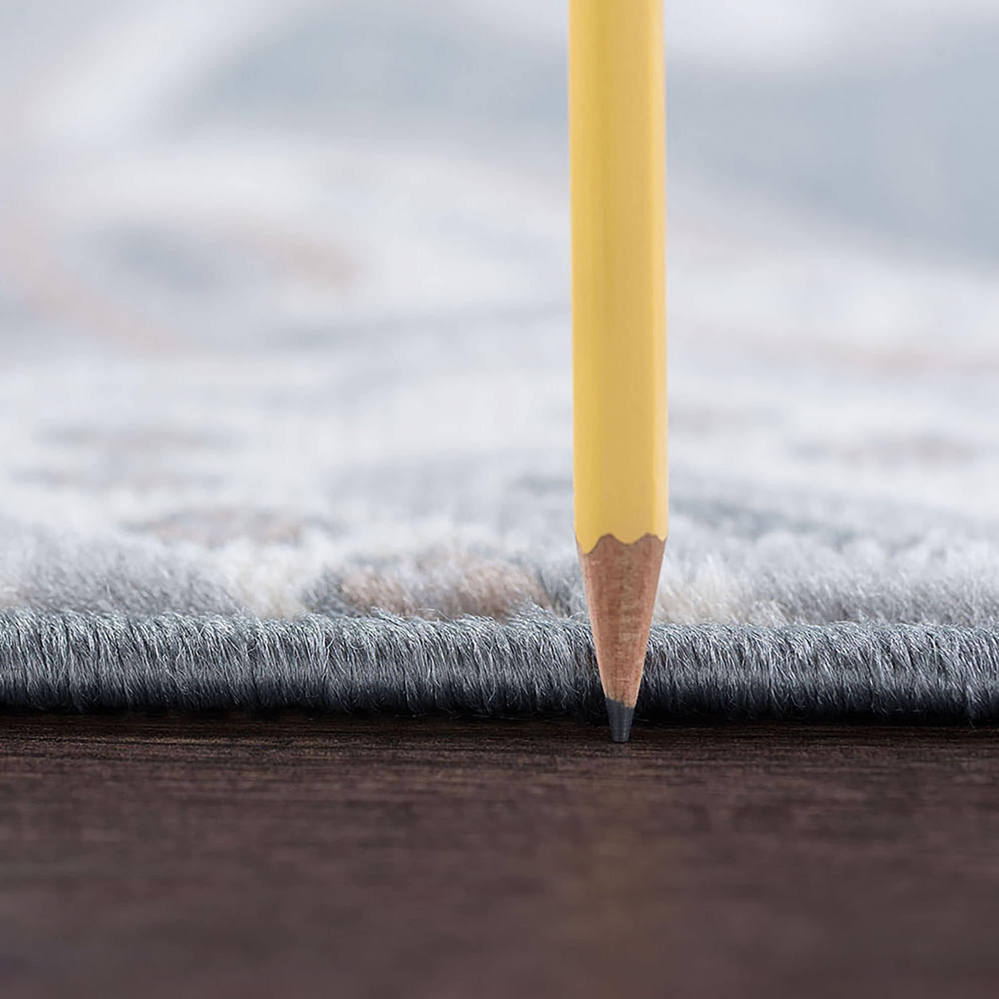Tapis d'intérieur transitionnel à motifs floraux et botaniques Carrington