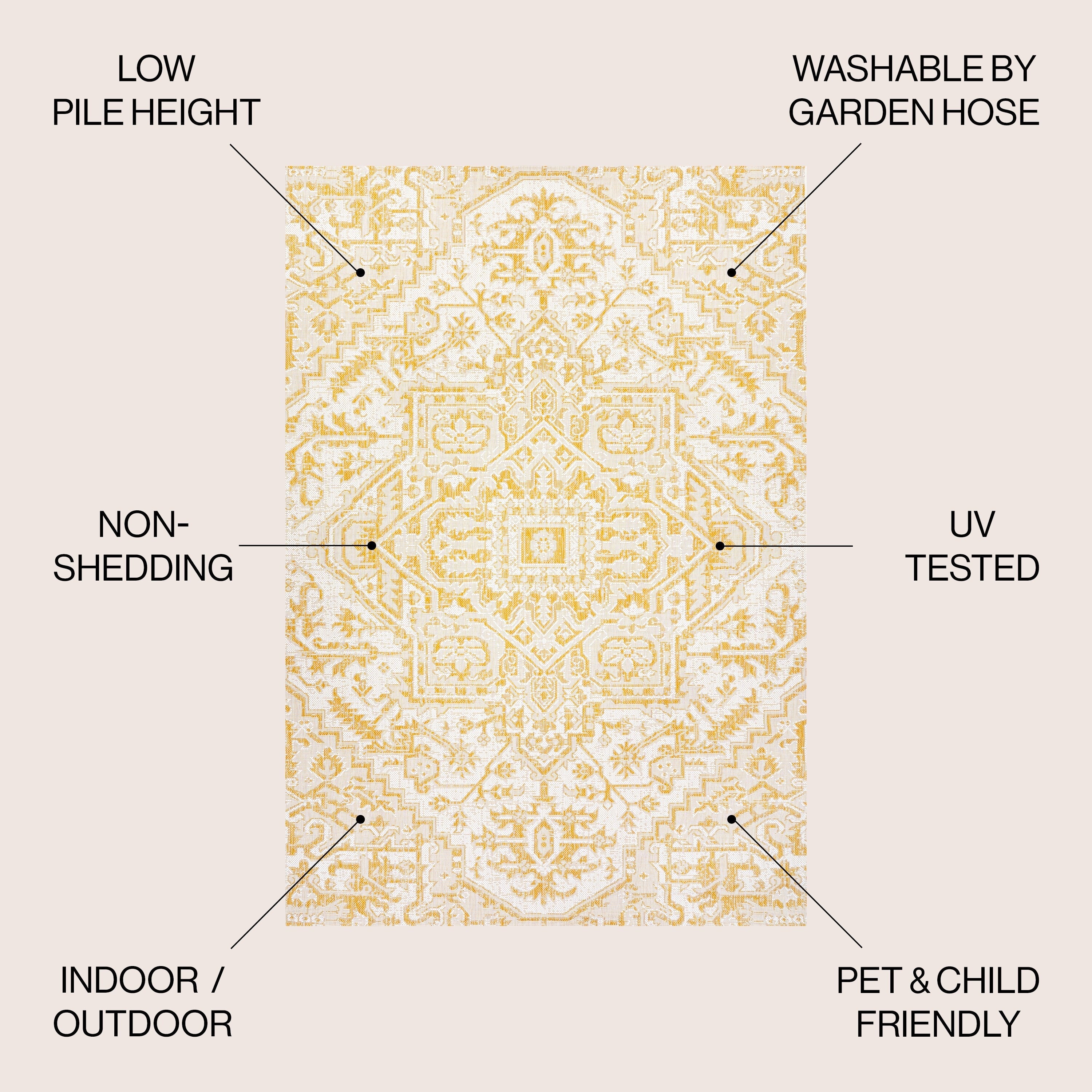 Tapis d'intérieur/extérieur JONATHAN Y Charleston Medallion