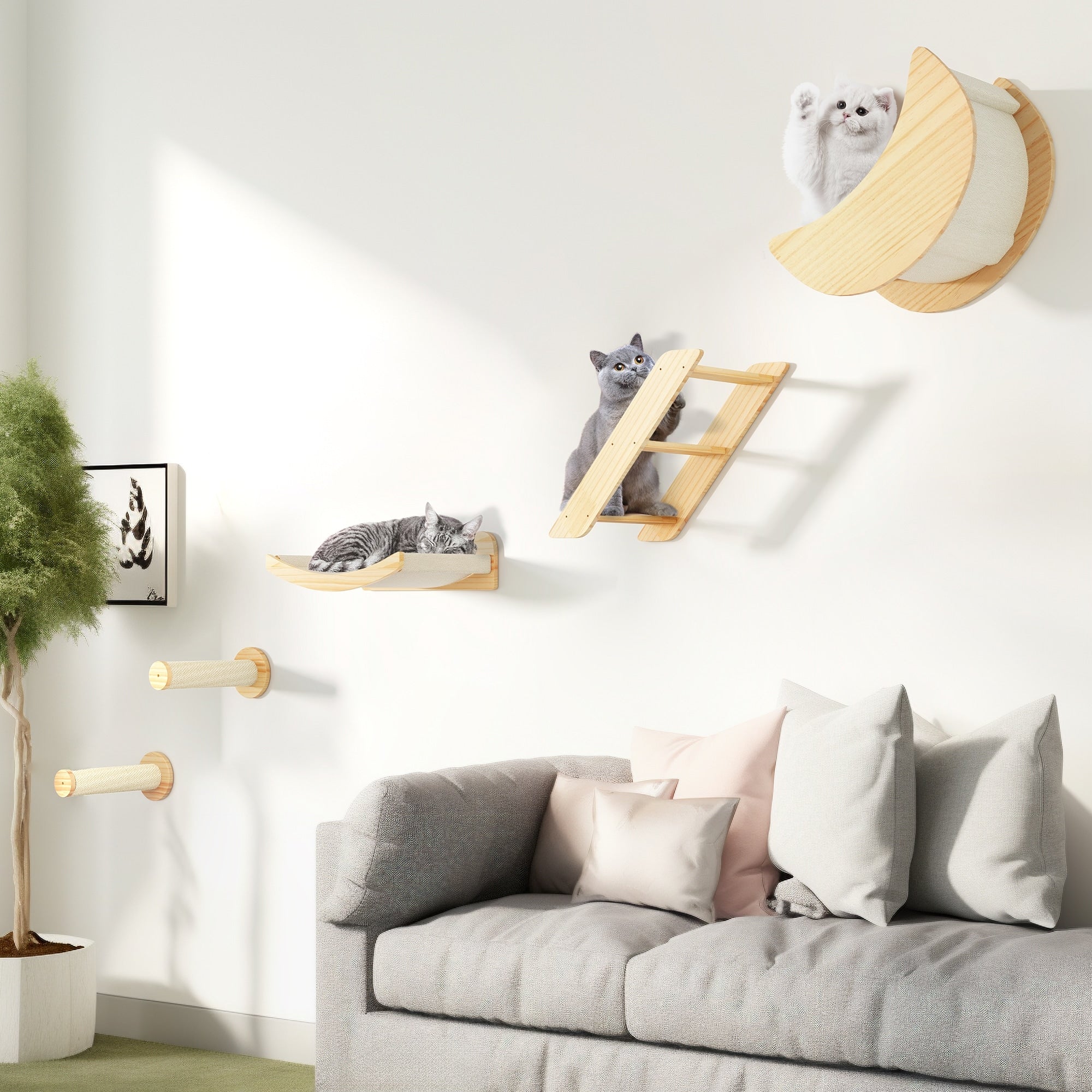 Ensemble d'étagères murales pour chat Moasis Ensemble d'escalade mural en bois pour chat