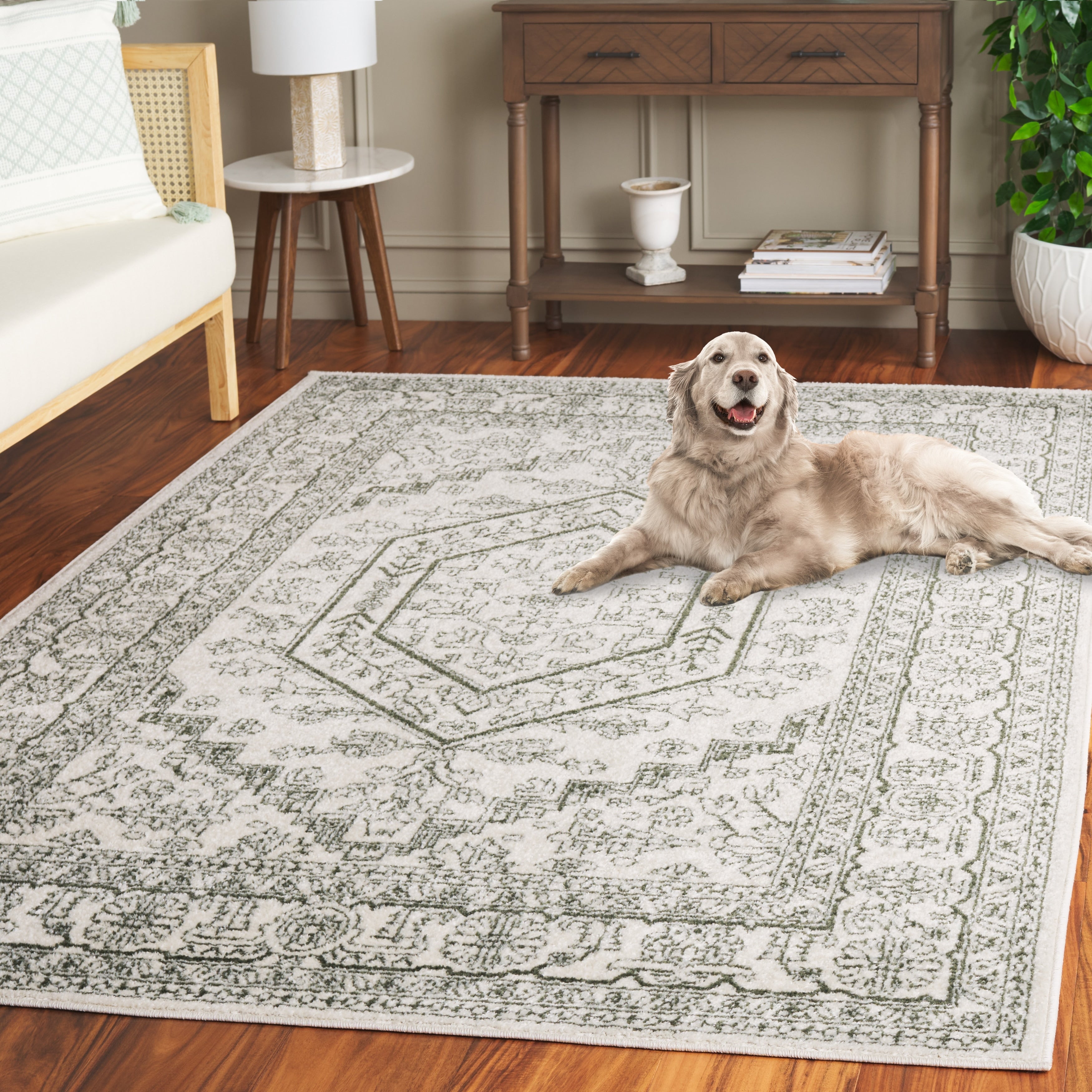 Tapis médaillon oriental rustique Adirondack Sian de SAFAVIEH