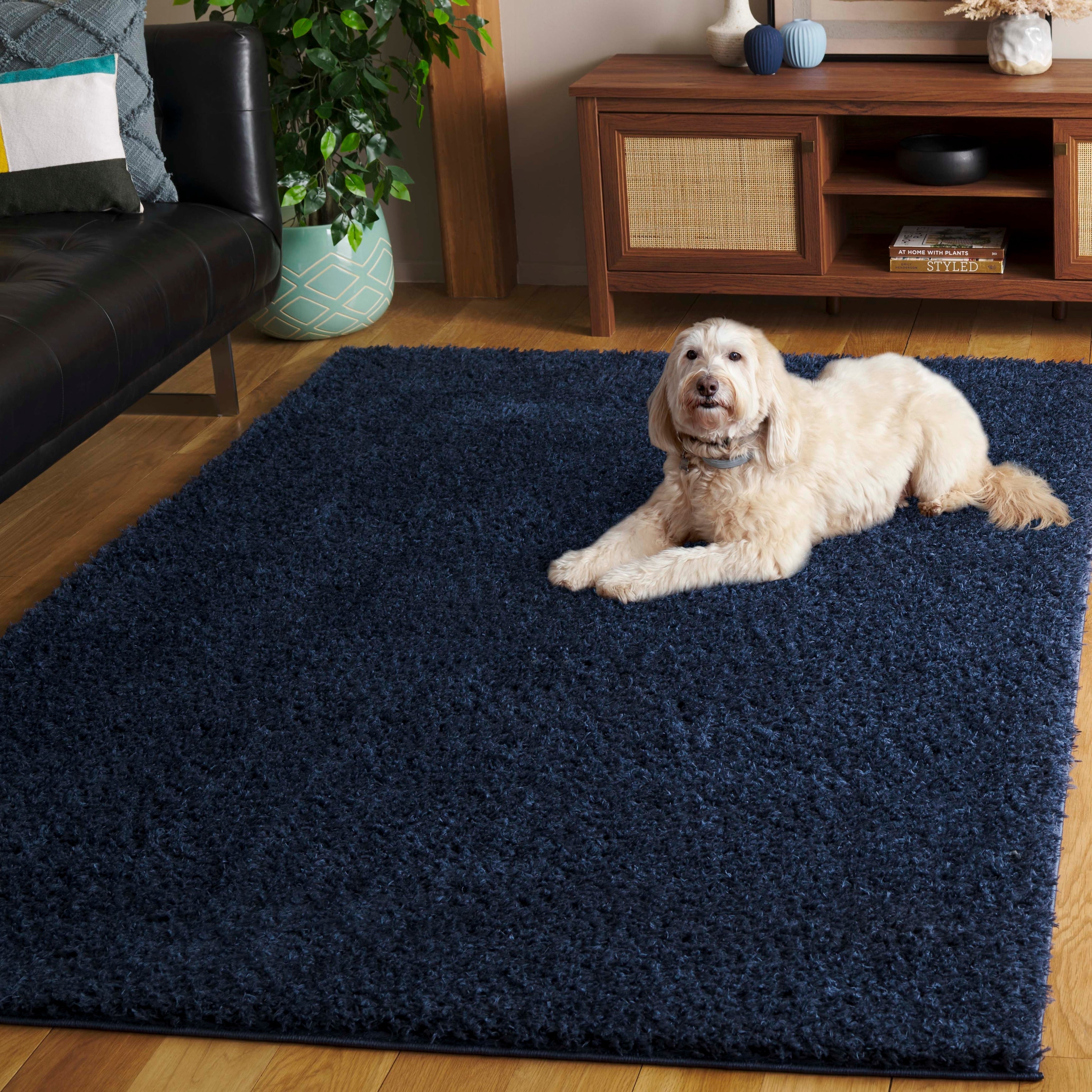 Tapis contemporain SAFAVIEH Lindsay Shag Luann