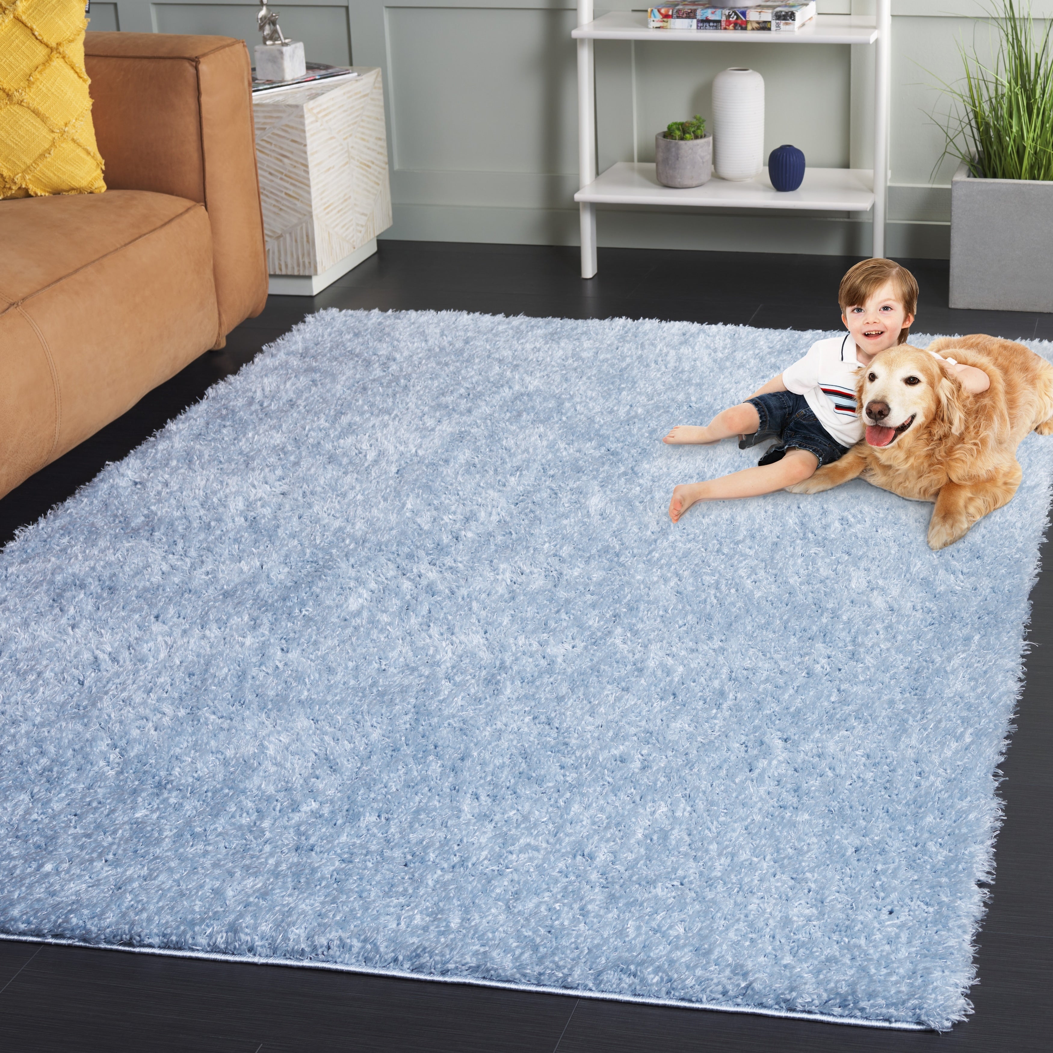 Tapis contemporain SAFAVIEH Lindsay Shag Luann