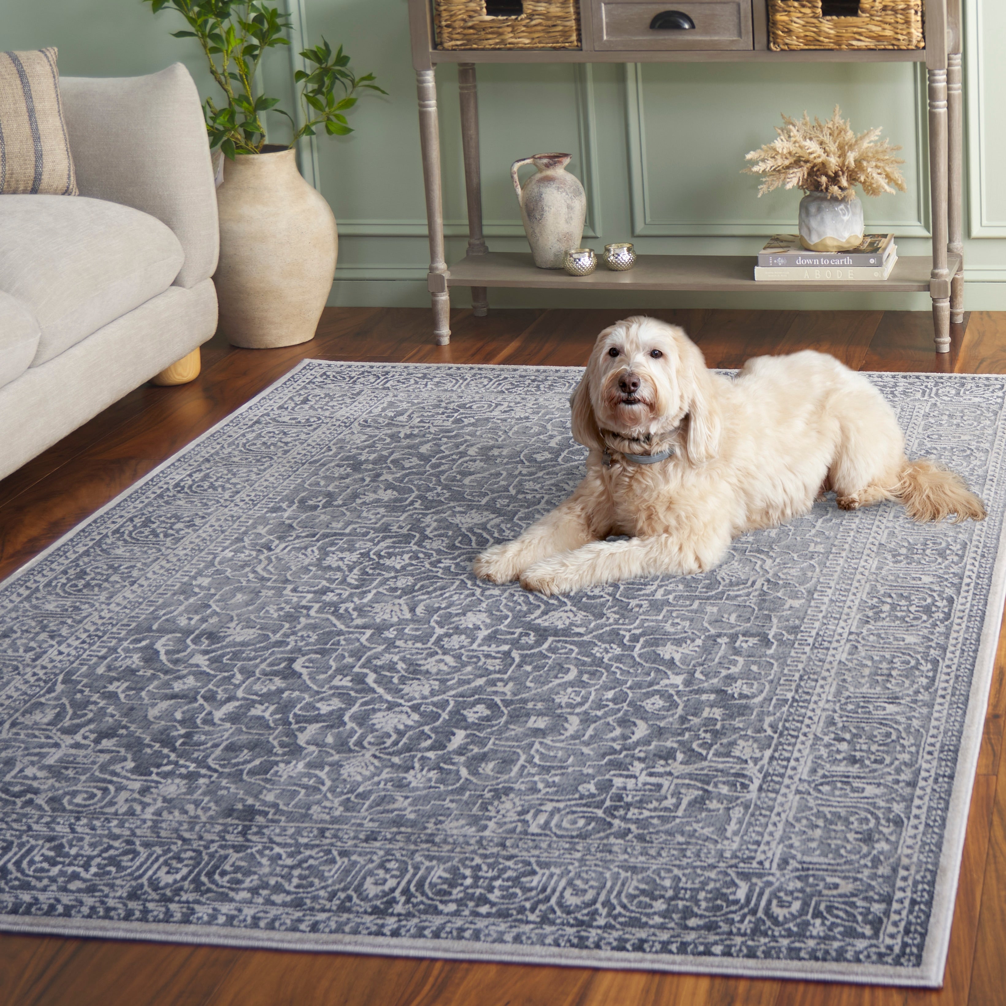 Tapis oriental SAFAVIEH Reflection Elzada